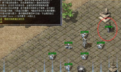 递交三本白日门魔法盾加上一坛质量高粱酒学会四级魔法盾